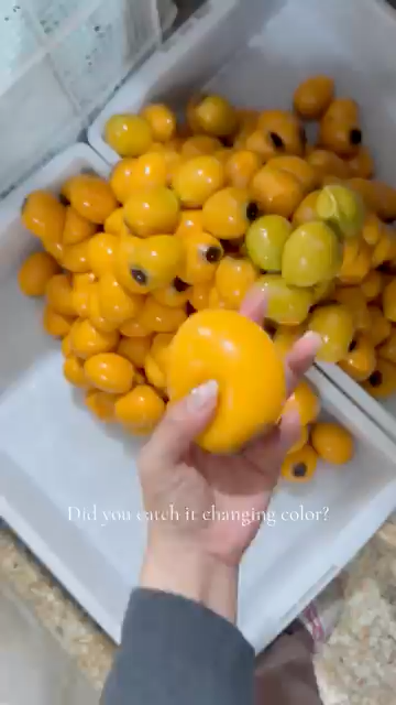 Color-changing orange squishy fidget toy held above orange fruit shapes