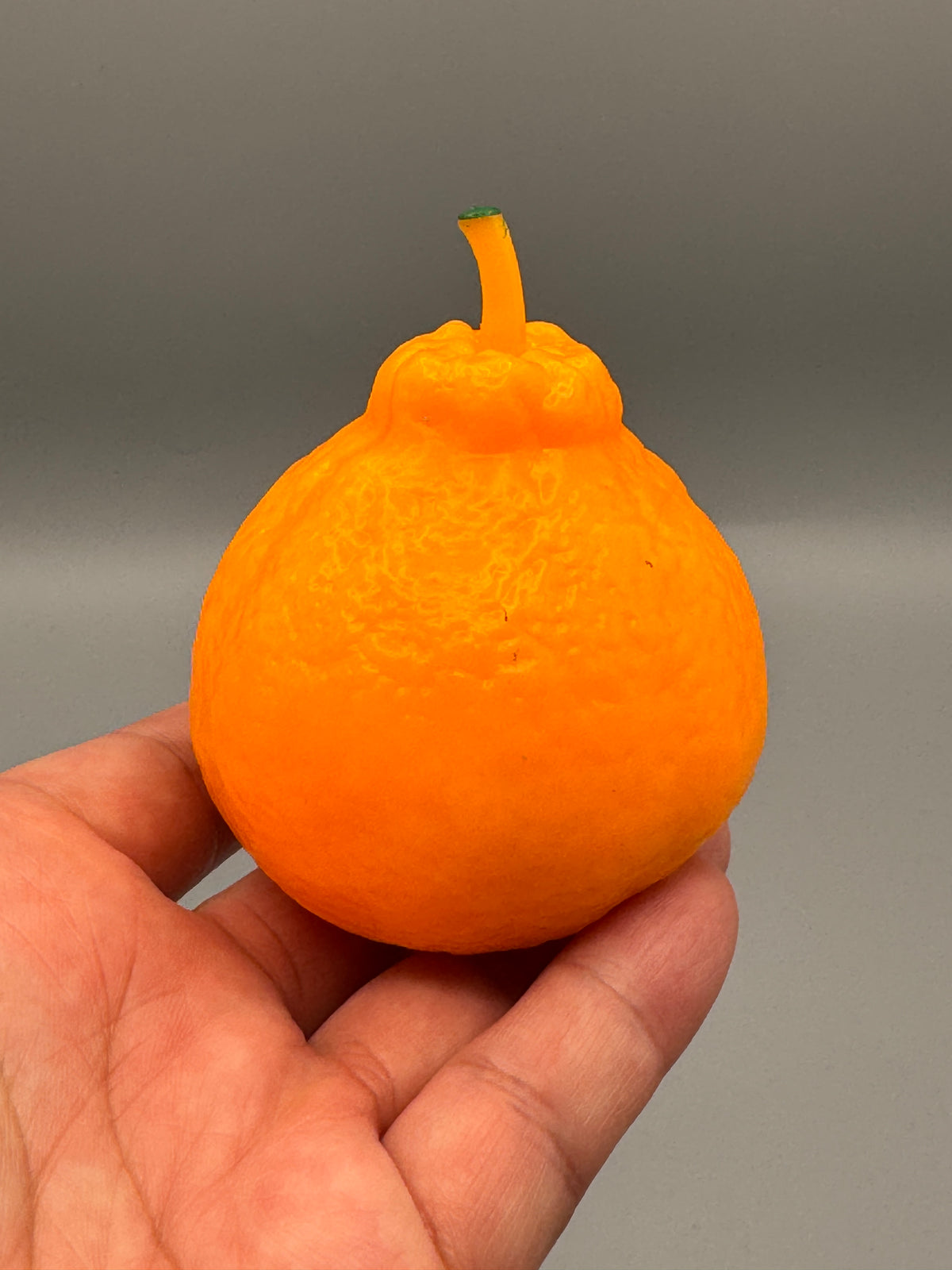 Crunchy Orange Squishy — product photo